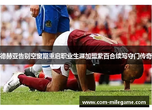 德赫亚告别空窗期重启职业生涯加盟紫百合续写守门传奇